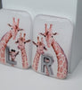 VIDEO OF GIRAFFE X RAY MARKERS 